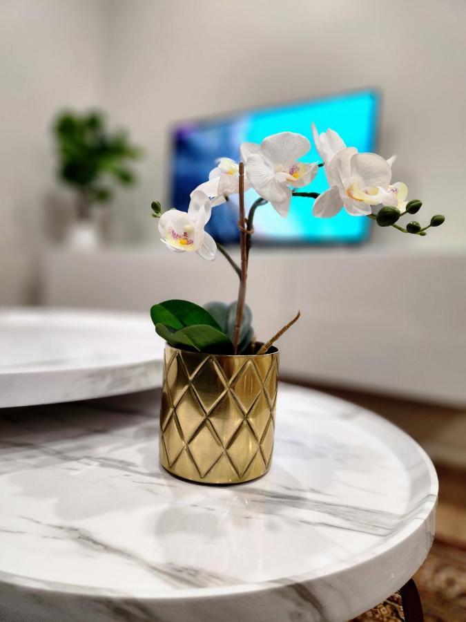 The Cozy Cove Modern King-Bedroom Full Apartment Sainte-Catherine エクステリア 写真